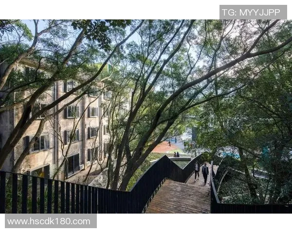 张超在篮球场上的成长历程与未来发展潜力分析